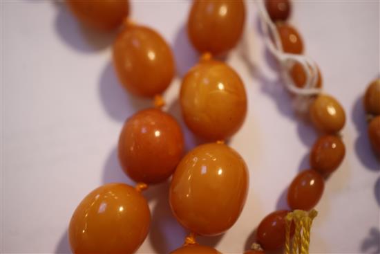 A single strand graduated amber oval bead necklace,